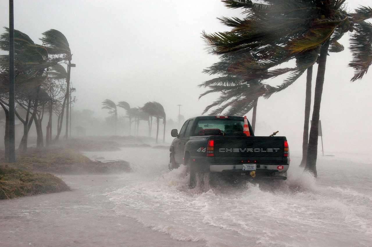 The Ultimate Guide to Natural Disaster Insurance